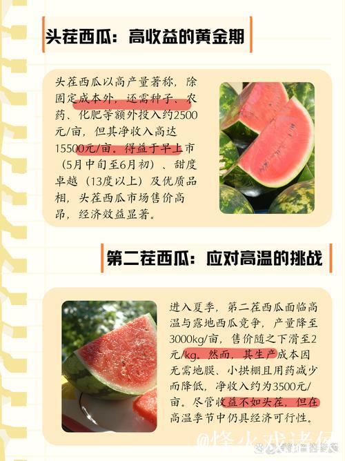 “51今日吃瓜必吃，瓜田热搜追不停”