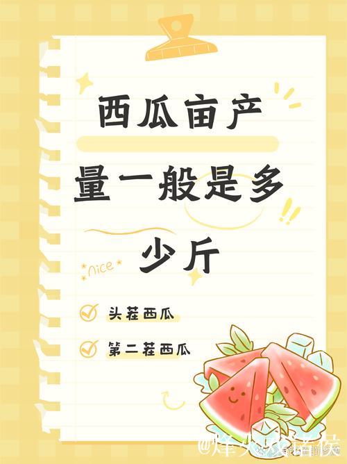 “51今日吃瓜必吃，瓜田热搜追不停”